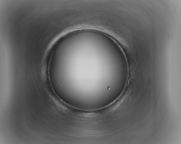 X0000110701502200906191517