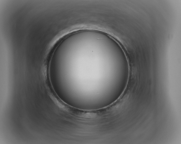 X0000110701503200906191517