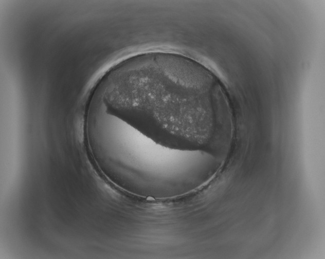 X0000110701504200906191517