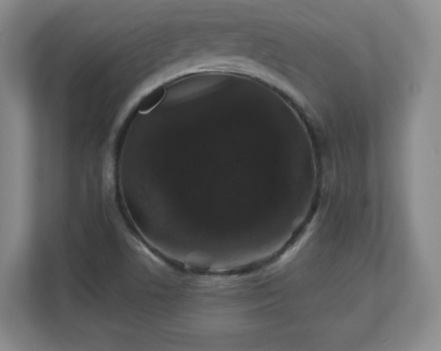 X0000110701506200906191517