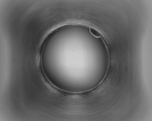 X0000110701507200906191517