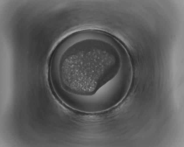 X0000110701508200906191517