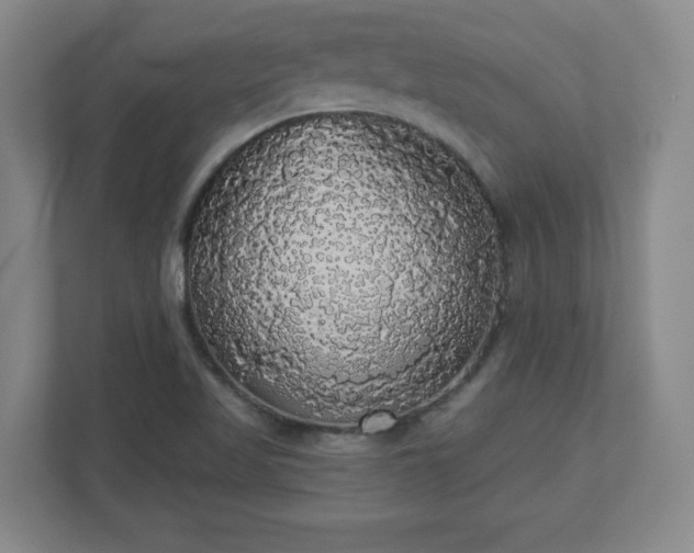 X0000110701509200906191517