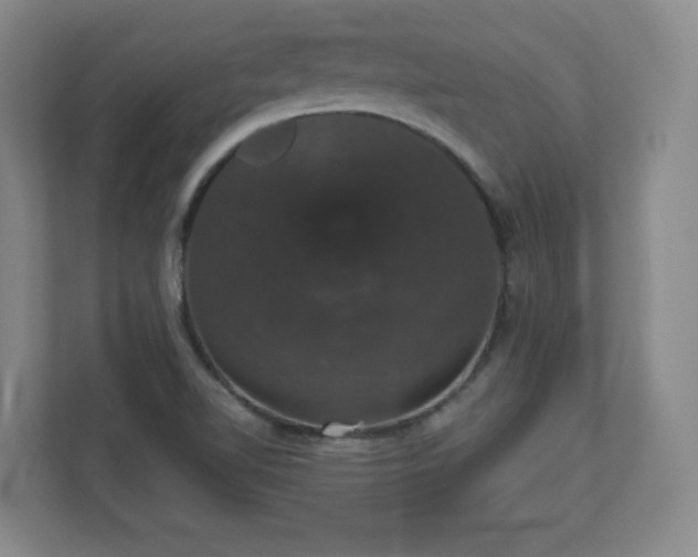 X0000110701510200906191517