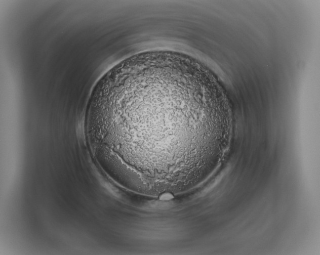 X0000110701513200906191517