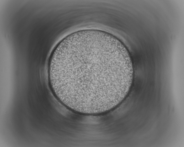 X0000110701514200906191517