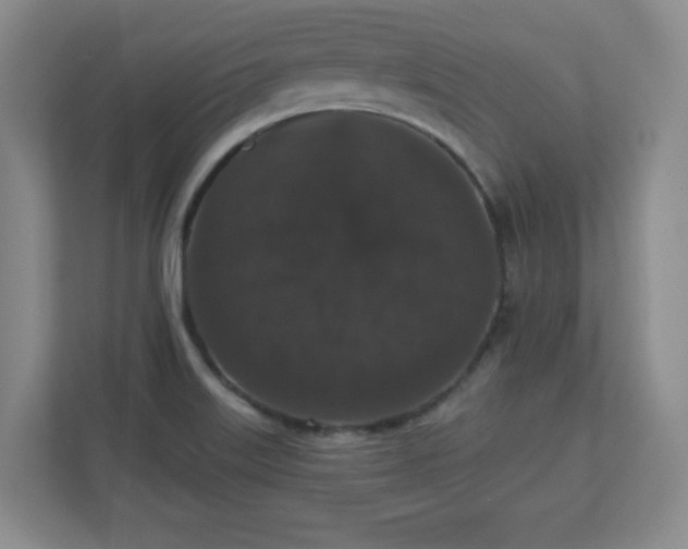 X0000110701515200906191517