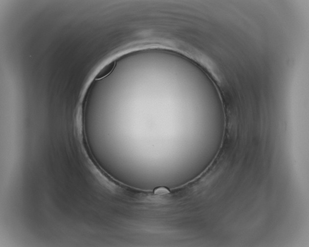 X0000110701516200906191517