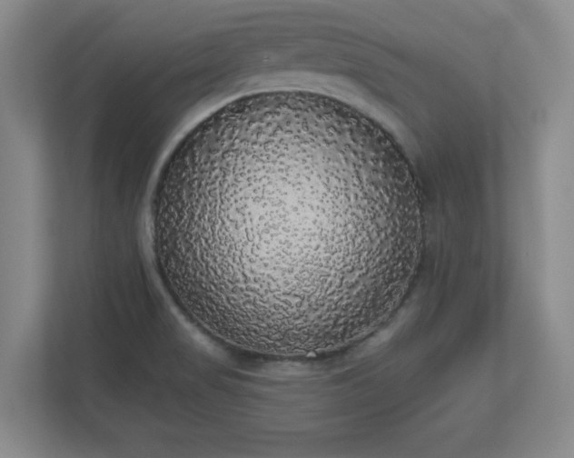 X0000110701517200906191517