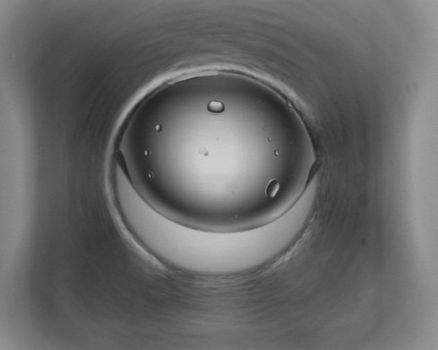 X0000110701518200906191517
