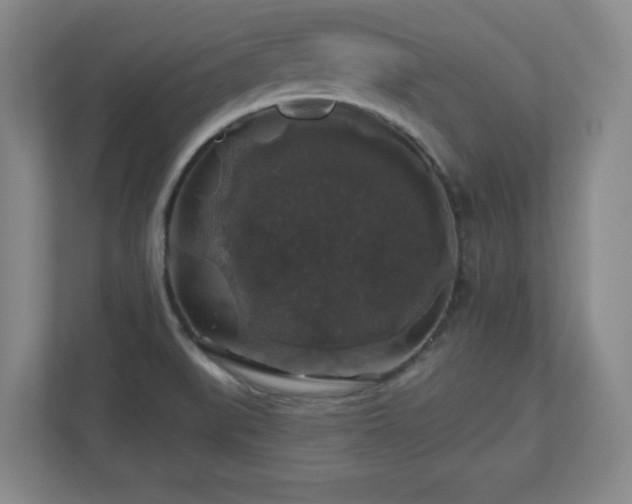 X0000110701519200906191517