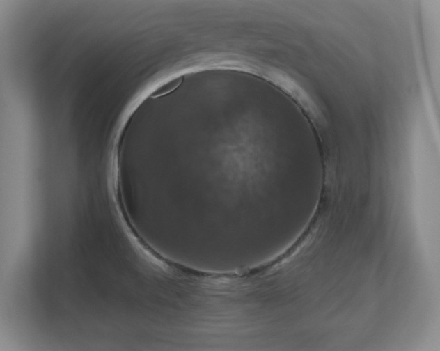 X0000110701520200906191517