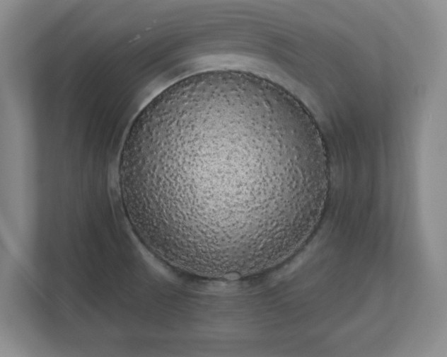 X0000110701521200906191517