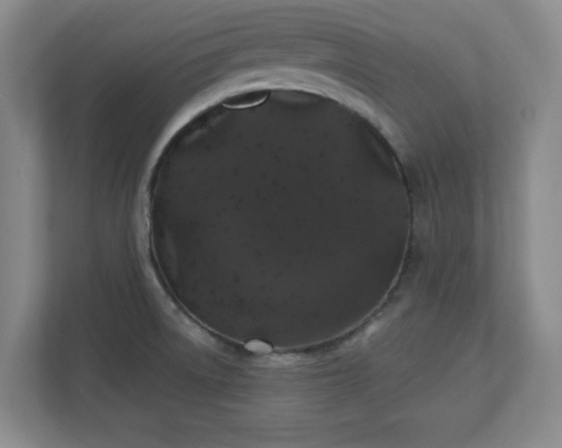X0000110701522200906191517