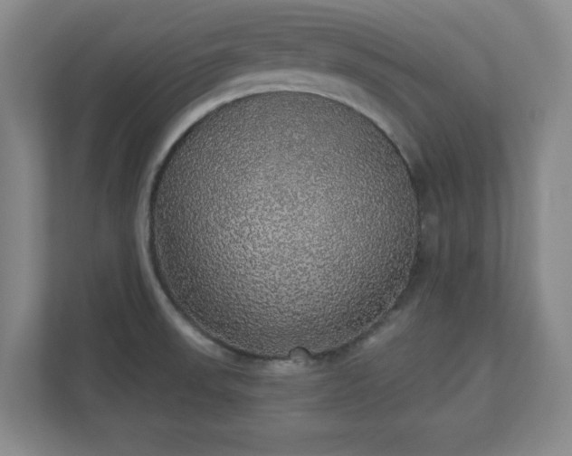 X0000110701523200906191517