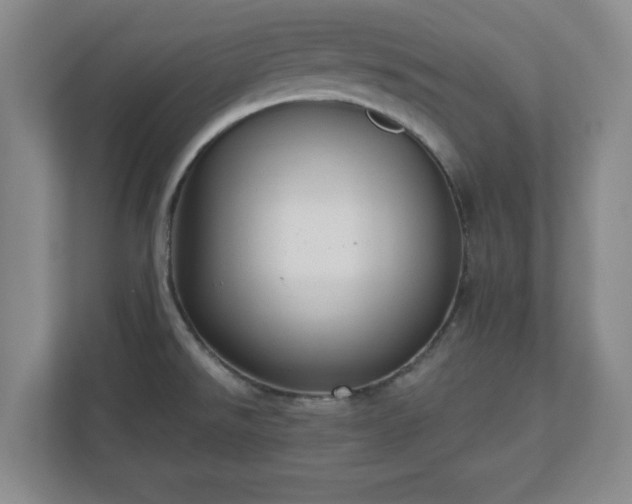 X0000110701526200906191517