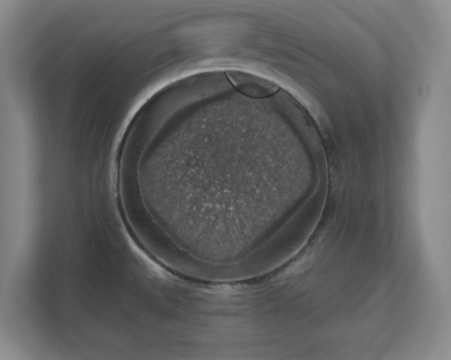 X0000110701527200906191517