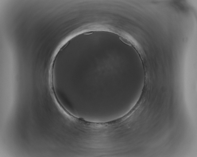 X0000110701528200906191517