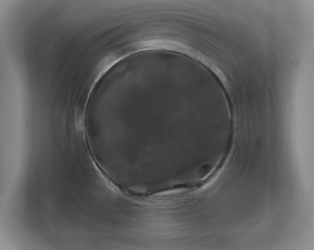 X0000110701529200906191517
