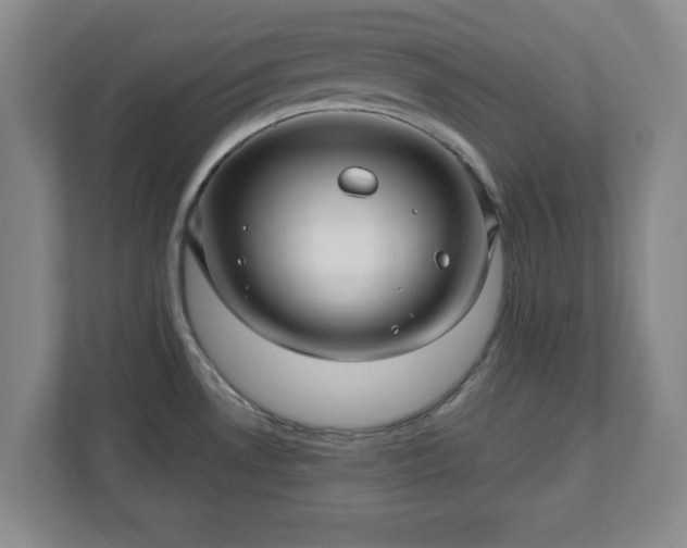 X0000110701530200906191517