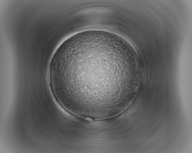 X0000110701531200906191517