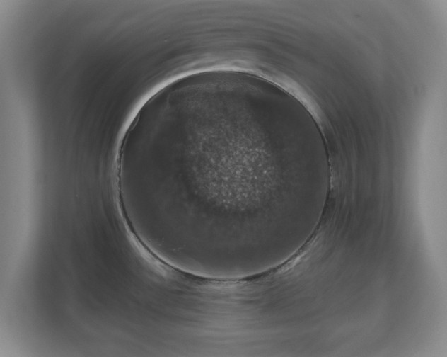 X0000110701532200906191517