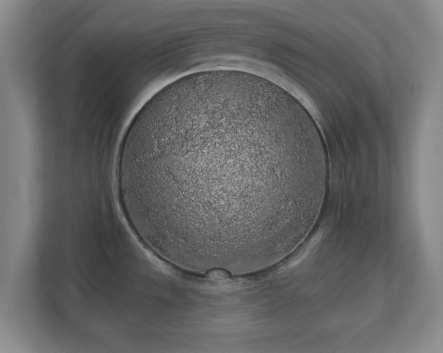 X0000110701533200906191517