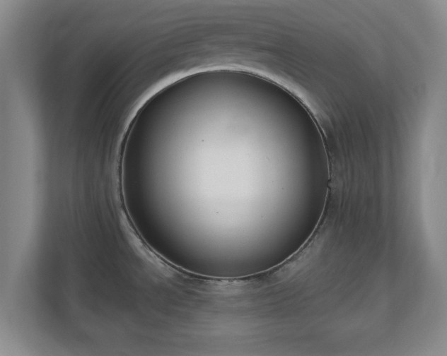 X0000110701534200906191517