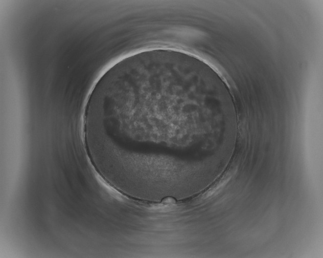 X0000110701535200906191517