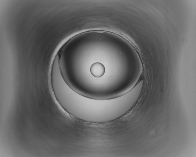 X0000110701536200906191517
