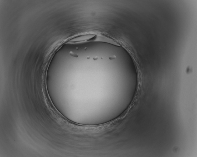 X0000110700001200906261419