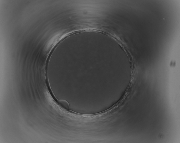 X0000110700002200906261419