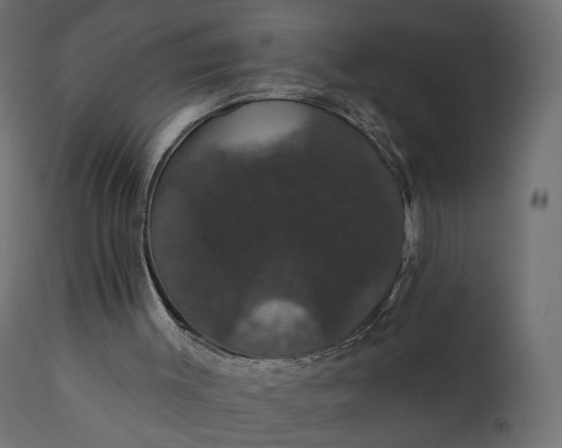 X0000110700003200906261419