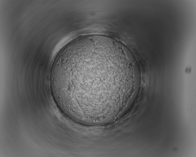 X0000110700004200906261419