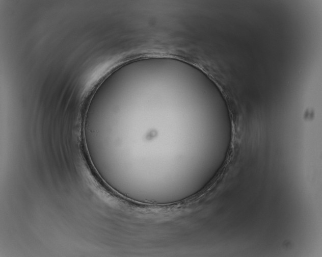 X0000110700005200906261419