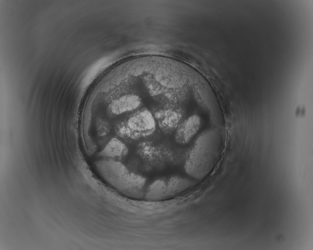 X0000110700006200906261419