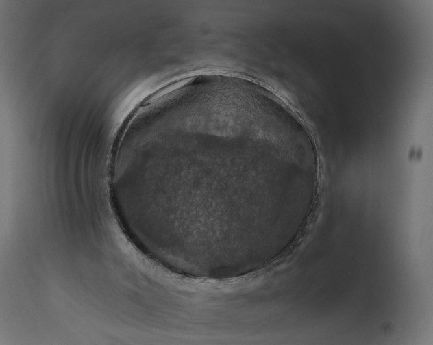 X0000110700007200906261419