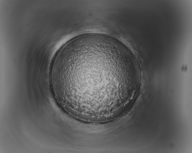 X0000110700008200906261419