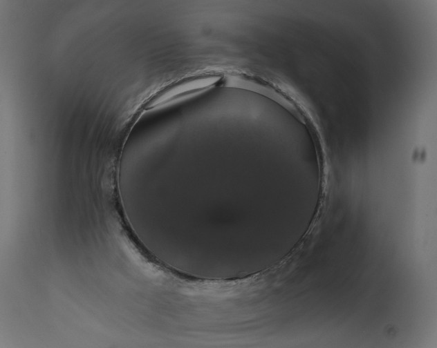 X0000110700009200906261419