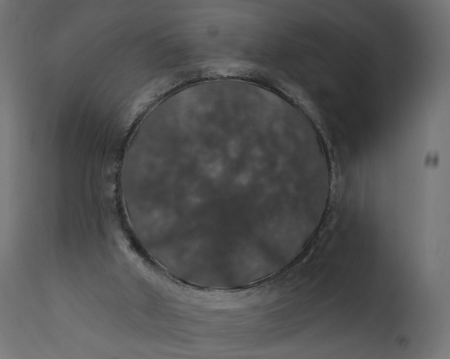 X0000110700010200906261419