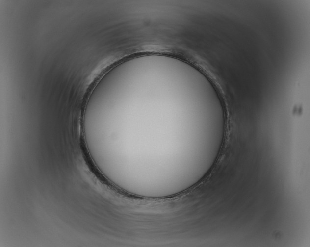 X0000110700011200906261419