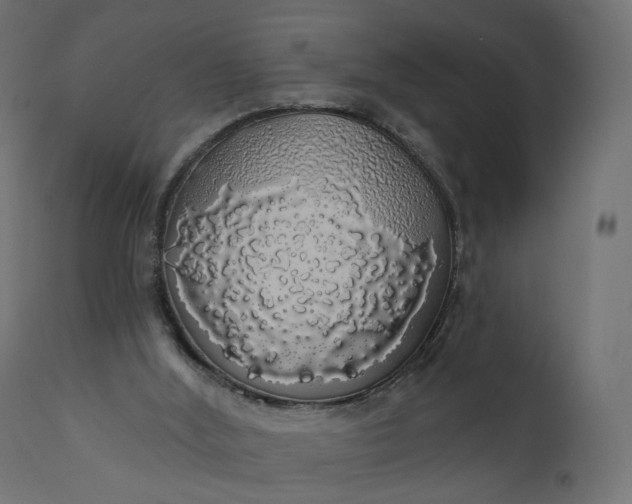 X0000110700012200906261419