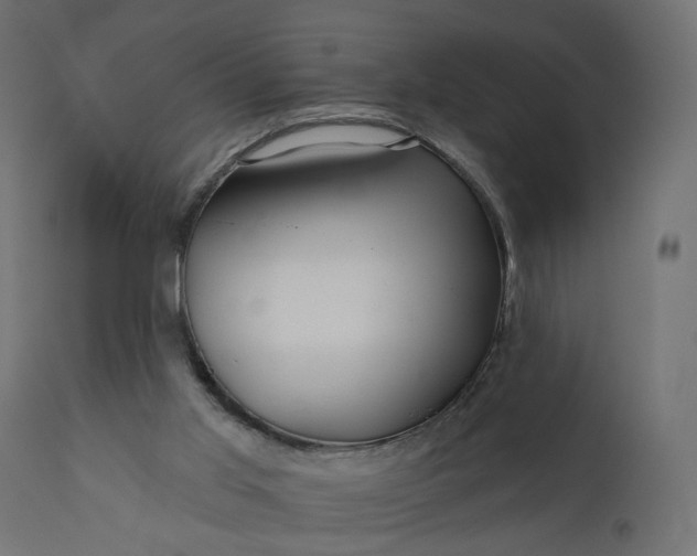 X0000110700013200906261419