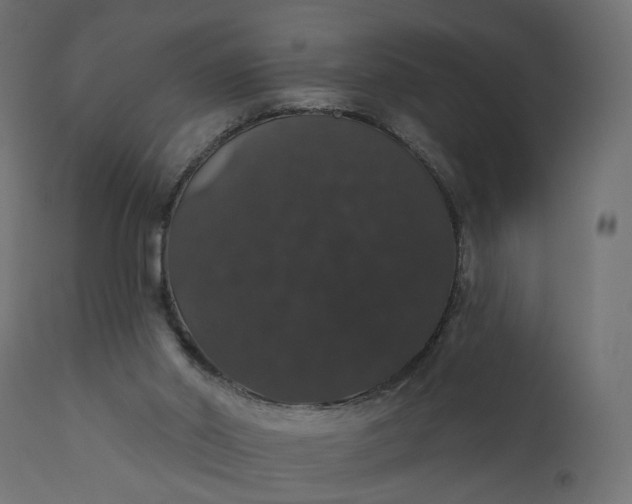 X0000110700014200906261419