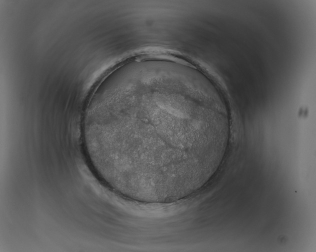 X0000110700015200906261419