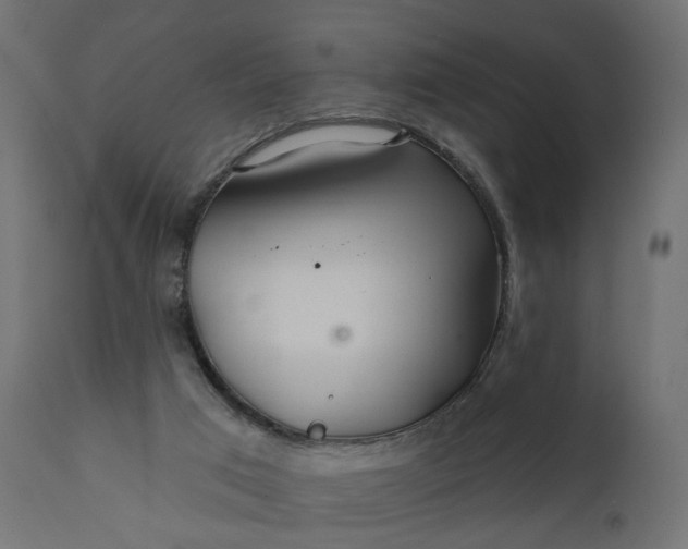 X0000110700017200906261419