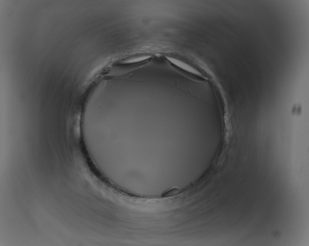 X0000110700019200906261419