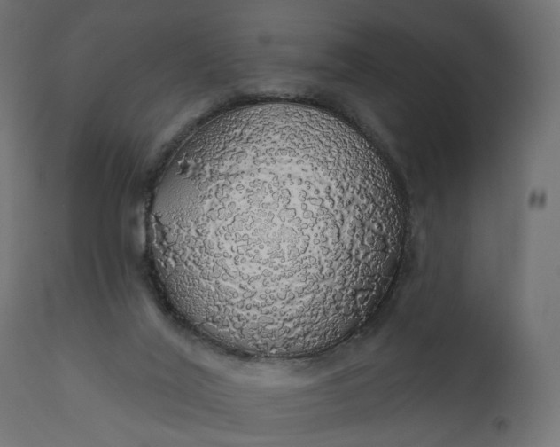 X0000110700020200906261418