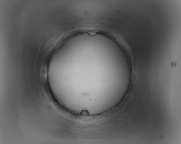 X0000110700021200906261418