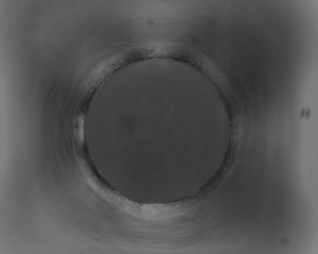 X0000110700022200906261418